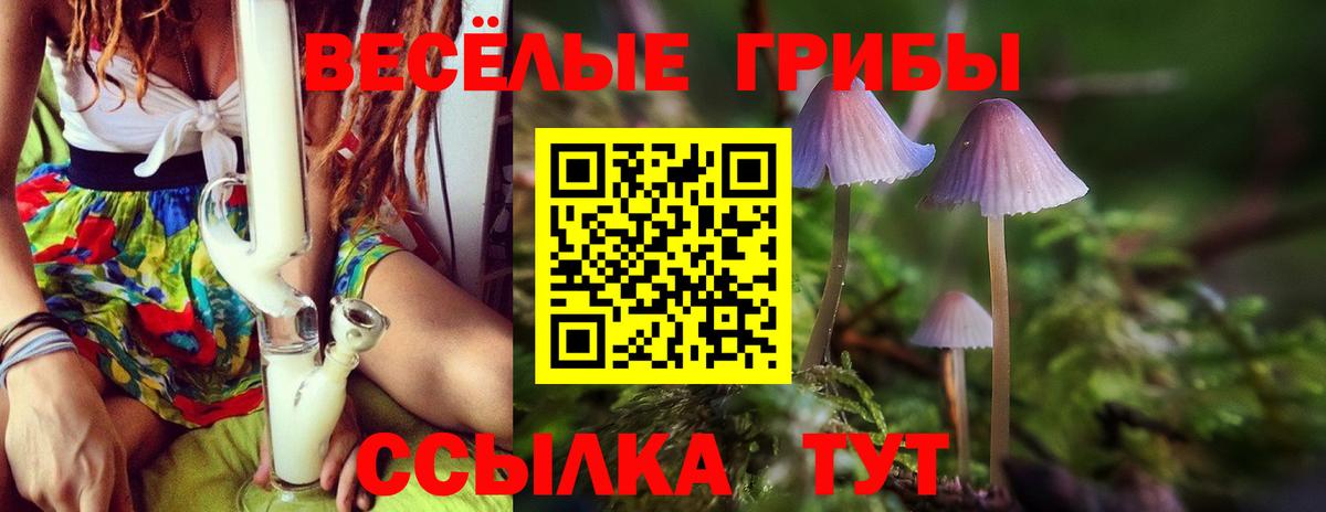 Псилоцибиновые грибы Psilocybe Домодедово