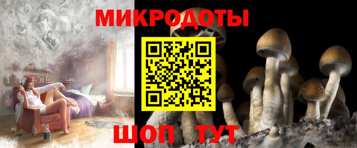Домодедово  Псилоцибиновые грибы Psilocybine cubensis  Вход с VPN 